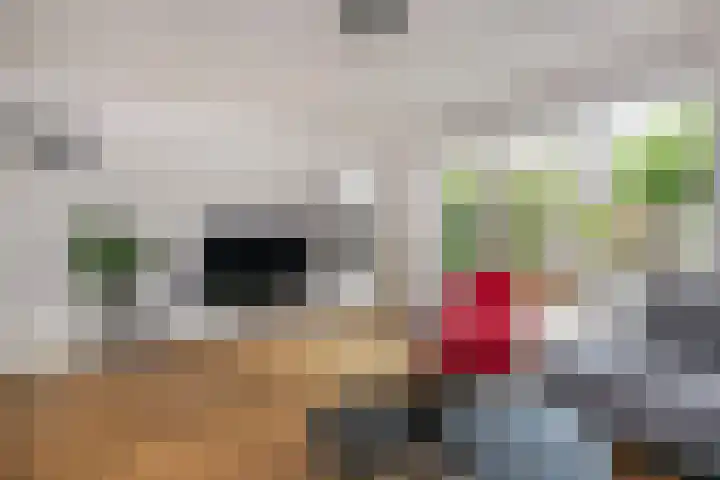 Bakemastraat 81 Utrecht thumbnail 11