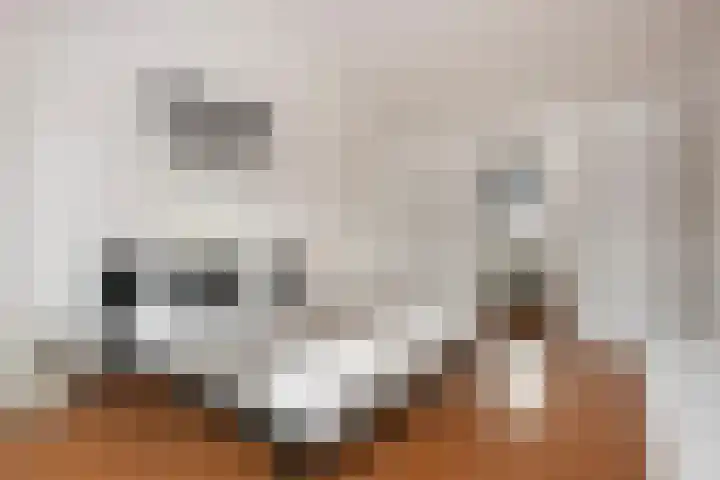 Bakemastraat 81 Utrecht thumbnail 17