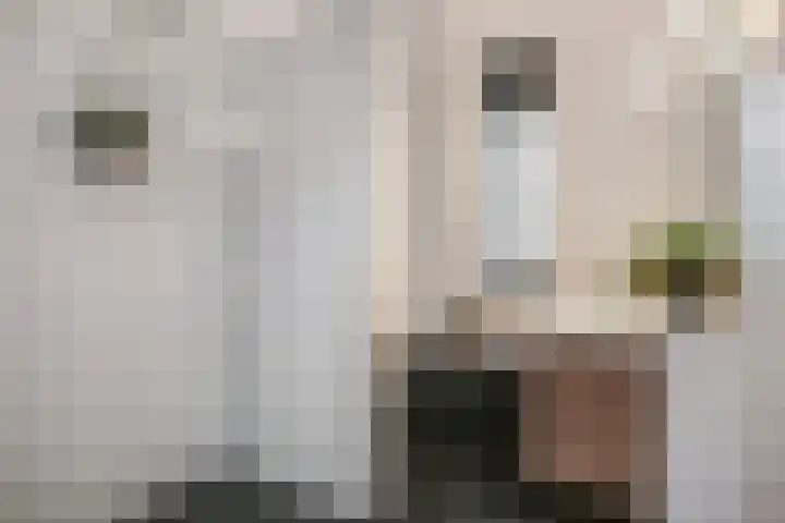 Bakemastraat 81 Utrecht thumbnail 20