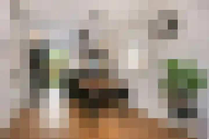 Bakemastraat 81 Utrecht thumbnail 6