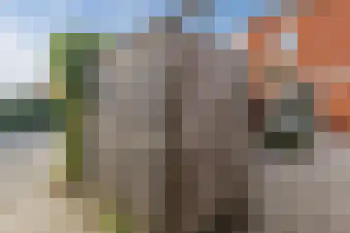 Bakemastraat 93 Utrecht thumbnail 15