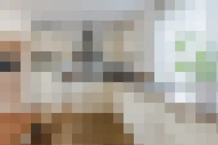 Bakemastraat 93 Utrecht thumbnail 25