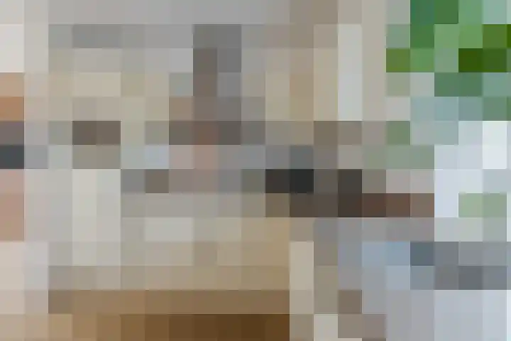 Bakemastraat 93 Utrecht thumbnail 26