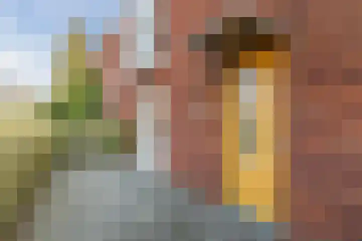 Bakemastraat 93 Utrecht thumbnail 6