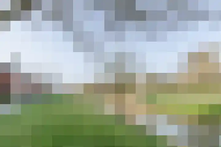 Bakemastraat 93 Utrecht thumbnail 63
