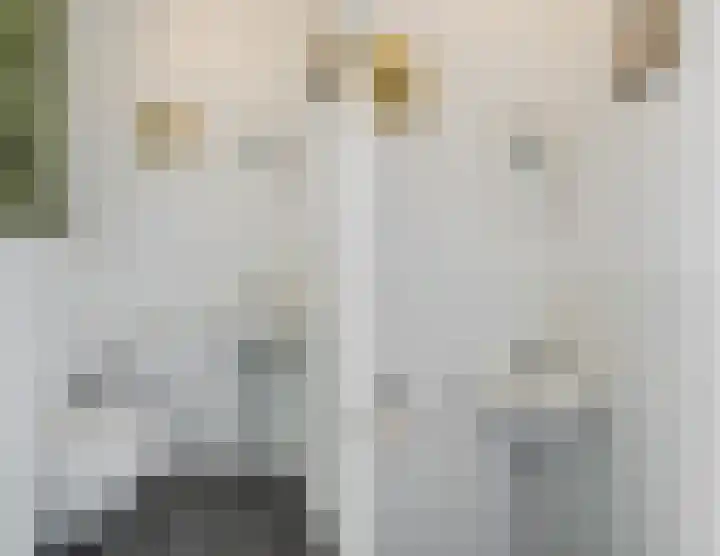 Bakemastraat 93 Utrecht thumbnail 7