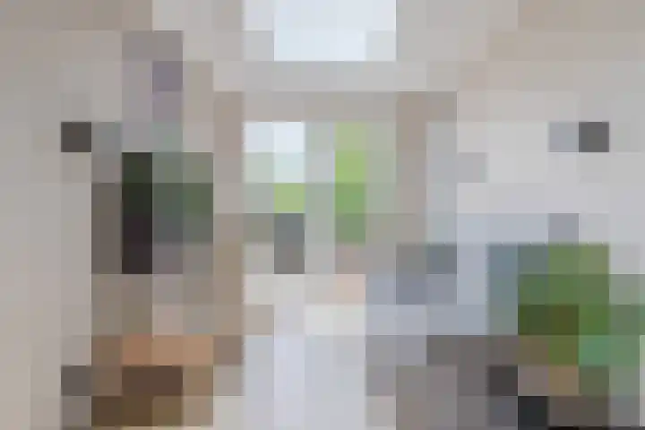 Bakemastraat 97 Utrecht thumbnail 15