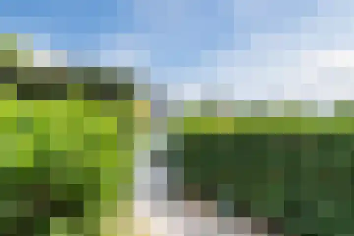 Bakemastraat 97 Utrecht thumbnail 18
