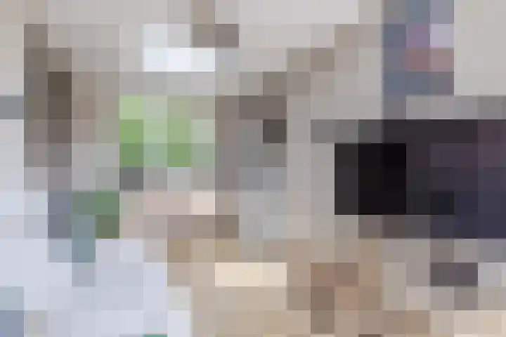 Bakemastraat 97 Utrecht thumbnail 22