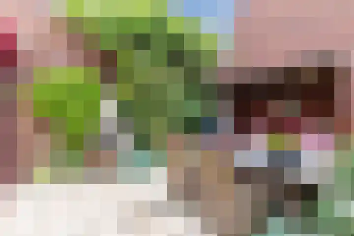 Bakemastraat 97 Utrecht thumbnail 27
