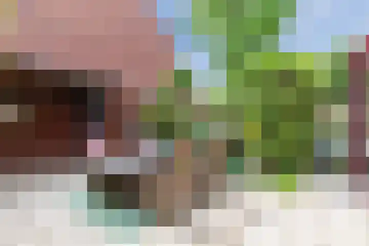 Bakemastraat 97 Utrecht thumbnail 28