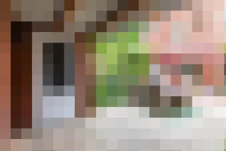 Bakemastraat 97 Utrecht thumbnail 30