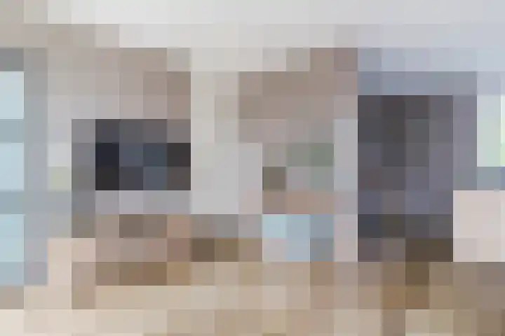 Bakemastraat 97 Utrecht thumbnail 33