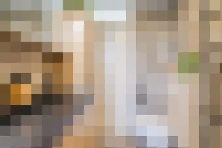Bakemastraat 97 Utrecht thumbnail 42