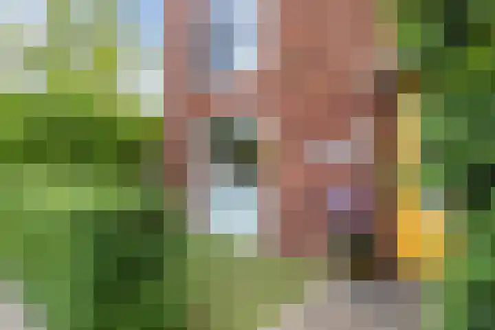 Bakemastraat 97 Utrecht thumbnail 5