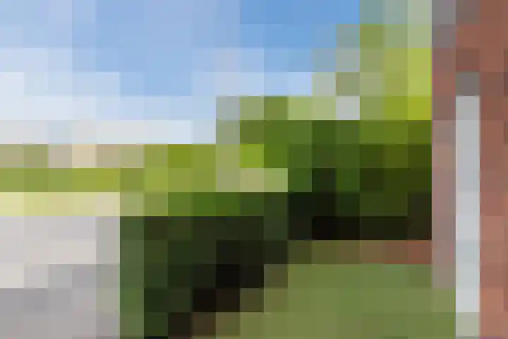 Bakemastraat 97 Utrecht thumbnail 53