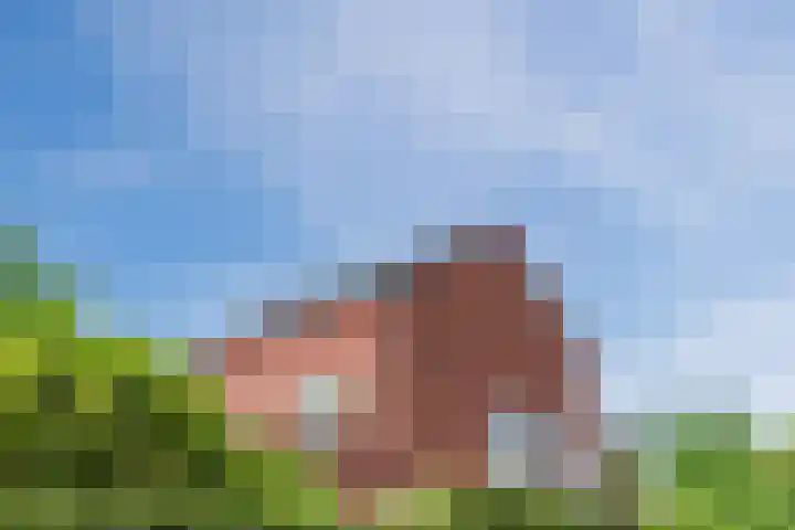 Bakemastraat 97 Utrecht thumbnail 59