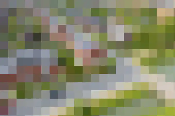 Bakemastraat 97 Utrecht thumbnail 62