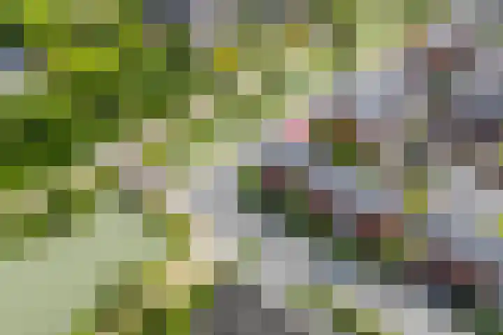 Bakemastraat 97 Utrecht thumbnail 63