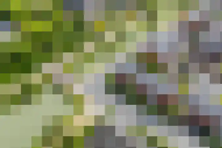 Bakemastraat 97 Utrecht thumbnail 66