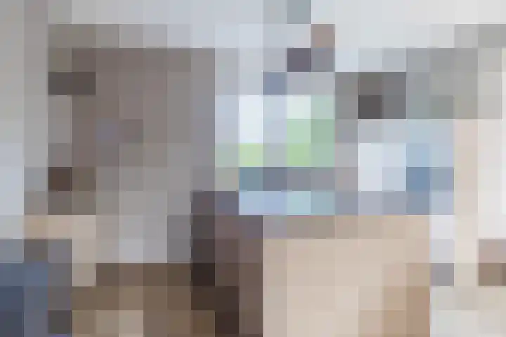 Bakemastraat 97 Utrecht thumbnail 8