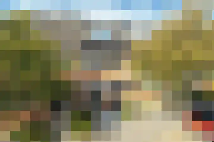 Bakemaveld 4 Barendrecht thumbnail 41