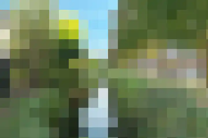 Bakemaveld 4 Barendrecht thumbnail 43