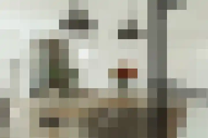 Bakemaveld 4 Barendrecht thumbnail 8