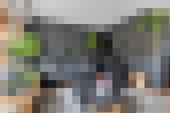 Baken 107 Groningen thumbnail 11