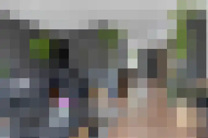 Baken 107 Groningen thumbnail 12