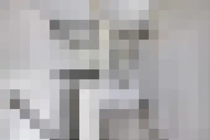Baken 107 Groningen thumbnail 14