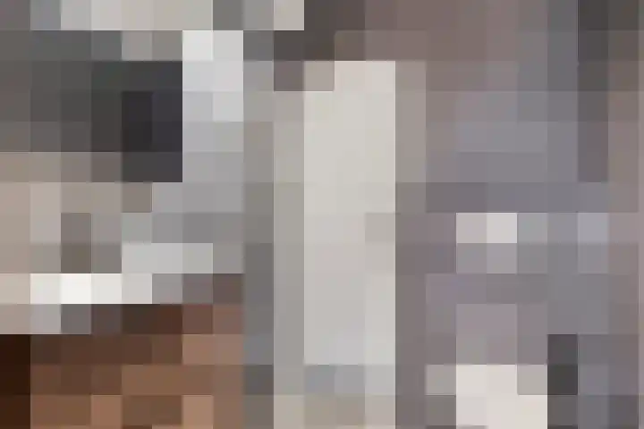 Baken 107 Groningen thumbnail 21