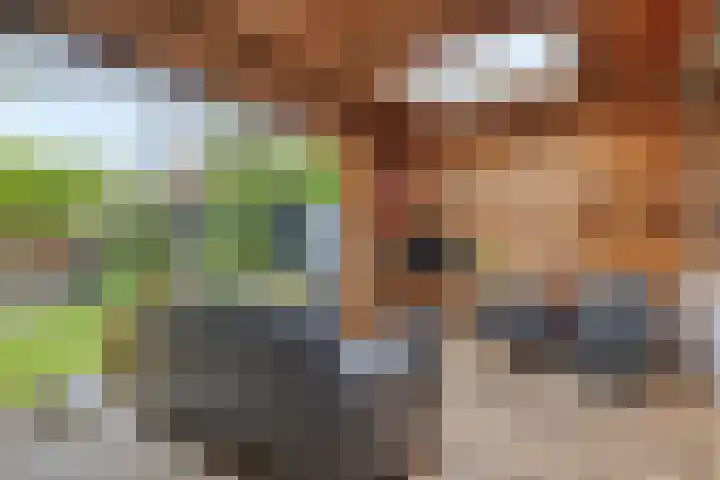 Baken 107 Groningen thumbnail 23