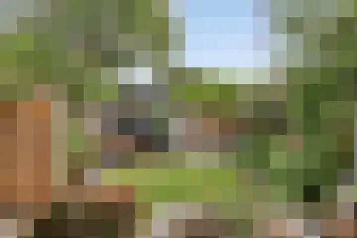 Baken 107 Groningen thumbnail 25