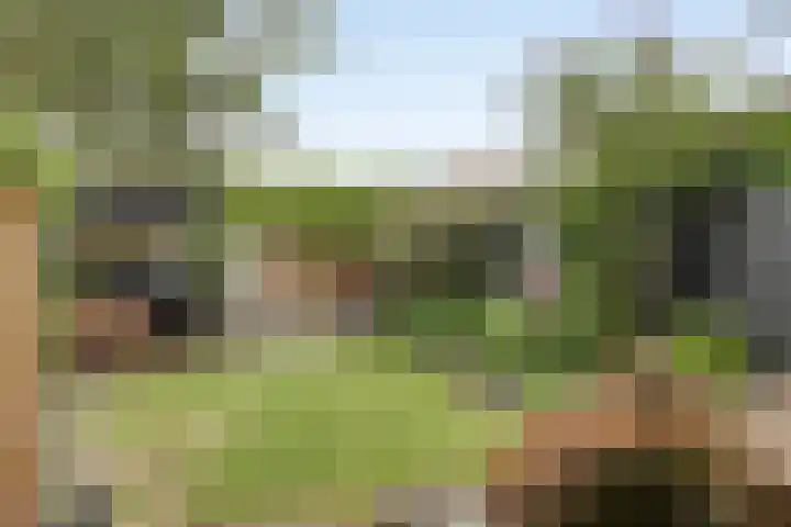 Baken 107 Groningen thumbnail 26