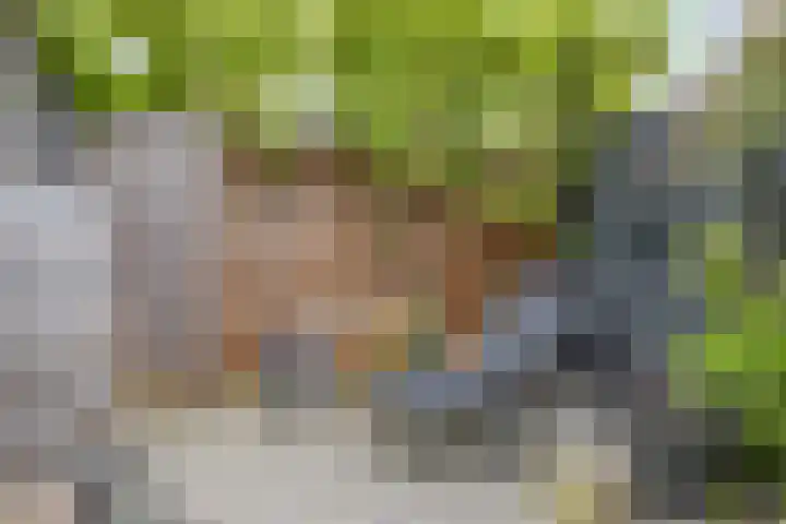 Baken 107 Groningen thumbnail 27
