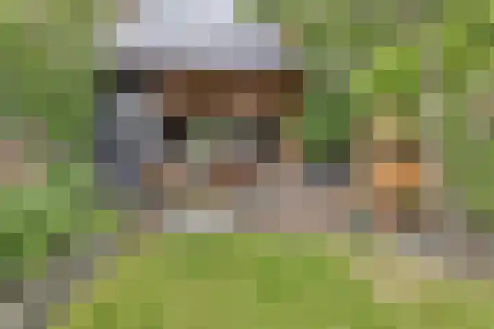 Baken 107 Groningen thumbnail 28