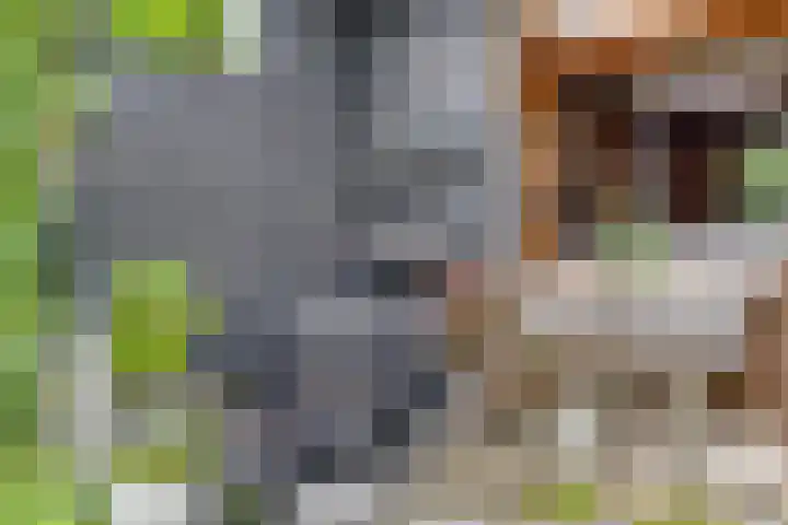 Baken 107 Groningen thumbnail 29