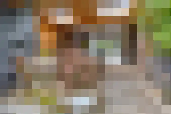 Baken 107 Groningen thumbnail 30