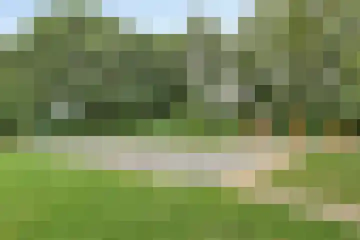 Baken 107 Groningen thumbnail 32