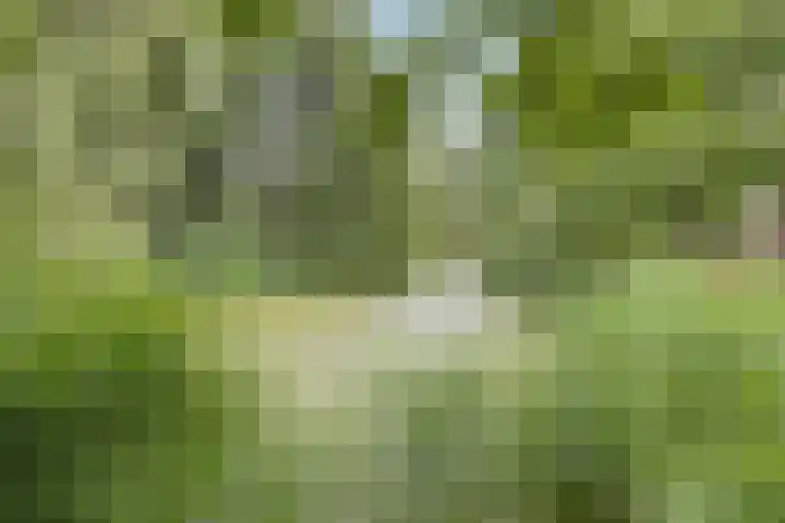 Baken 107 Groningen thumbnail 34