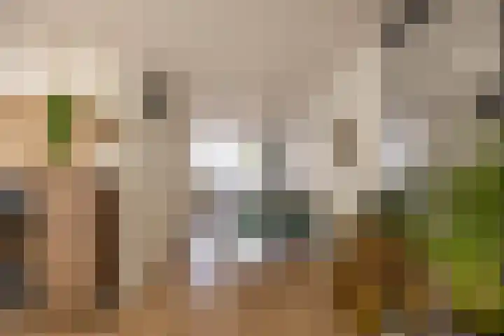 Baken 156 Groningen thumbnail 11