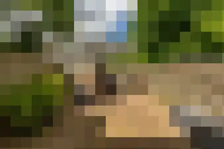 Baken 156 Groningen thumbnail 17