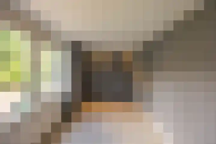 Baken 156 Groningen thumbnail 24
