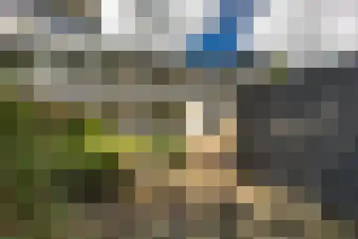 Baken 156 Groningen thumbnail 4