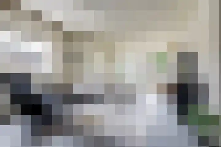 Baken 22 Scharendijke thumbnail 10