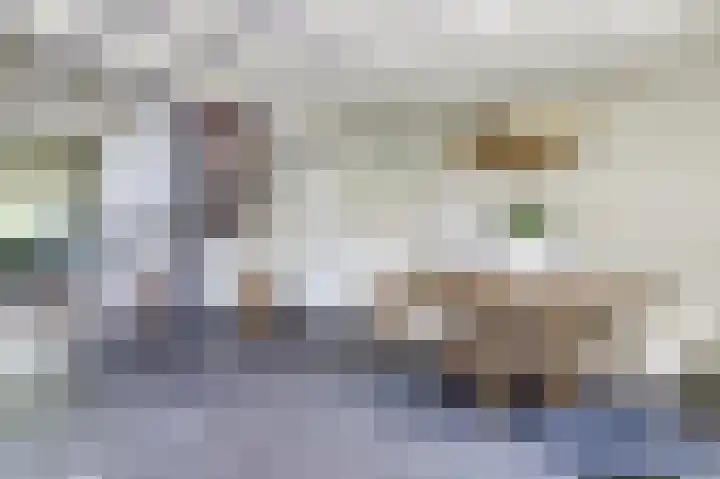 Baken 22 Scharendijke thumbnail 12