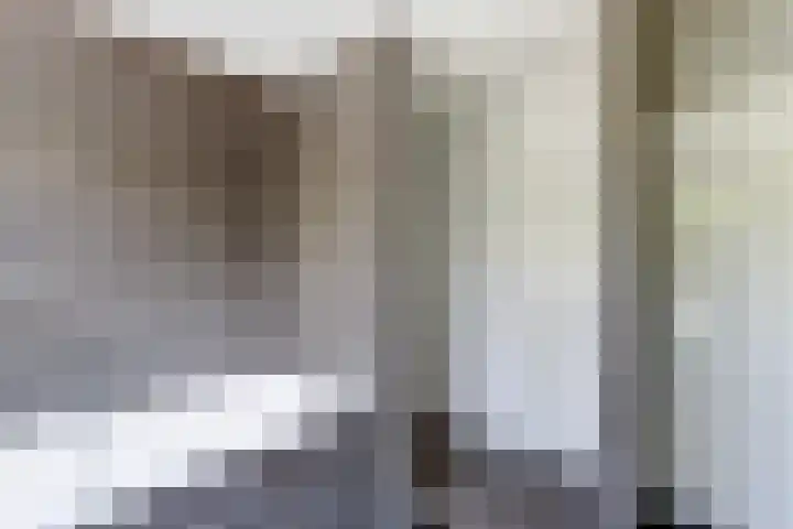 Baken 22 Scharendijke thumbnail 17