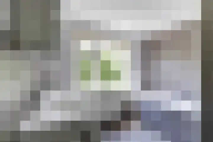 Baken 22 Scharendijke thumbnail 18