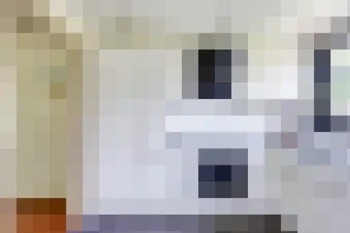 Baken 22 Scharendijke thumbnail 20